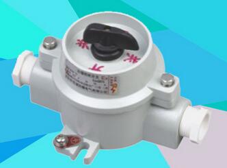 SW-10 防爆照明开关 隆襄防爆 专业生产照明开关