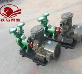 铁马泵业(图),W型直连旋涡泵厂家,新余W型直连旋涡泵