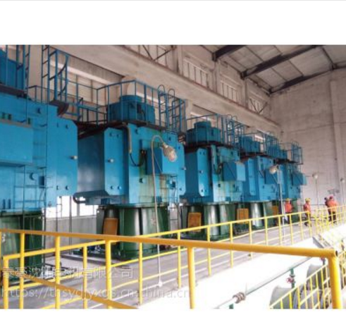 大型异步高压立式电机（YLKS)