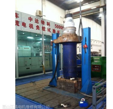 苏州无锡常州镇江南京ABS凯士比进口水泵潜水泵维修