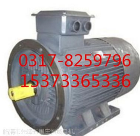 山东恒威电机厂家低价销售/三相异步c/Y2系列三相电机/防爆电机/型号多价格低