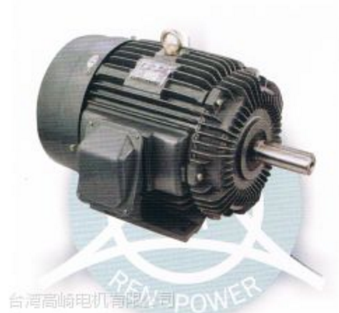 高崎变频电机-AEHLQS系列（1/4HP--125HP)卧式 立式