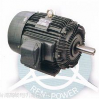 高崎变频电机-AEHLQS系列（1/4HP--125HP)卧式 立式