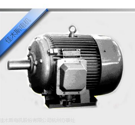 HY系列核电用三相异步电动机