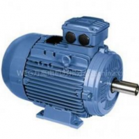 供应定制WEG铝壳电机2.2KW-2级-立式