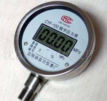 供应CYF-100数字压力表