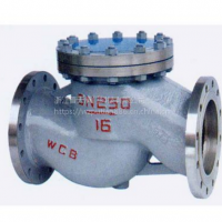 浙江普天旋启式止回阀H44H-16C DN100