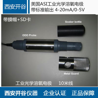 美国ASI 工业荧光发溶解氧传感器 输出4-20mA或者0-5V