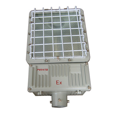 厂家直销 防爆LED灯 防爆泛光灯 铝合金外壳防爆日光灯