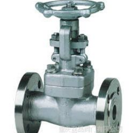 重庆Z41Y-16P不锈钢磅级高压法兰闸阀