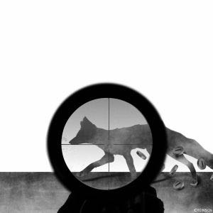 沈阳正规要账公司★猎狐★沈阳要账公司-知乎推荐