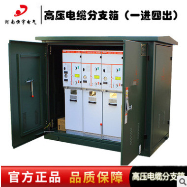 恒宇电气 现货特卖10KV电缆分支箱 DFW-12户外高压电缆分线箱