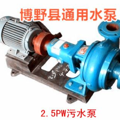 4PW污水泵|30千瓦卧式污水泵