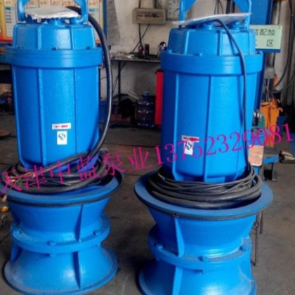 雨水提升轴流泵现货