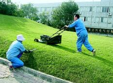 天津庭院绿化养护公司-河南畅新物业