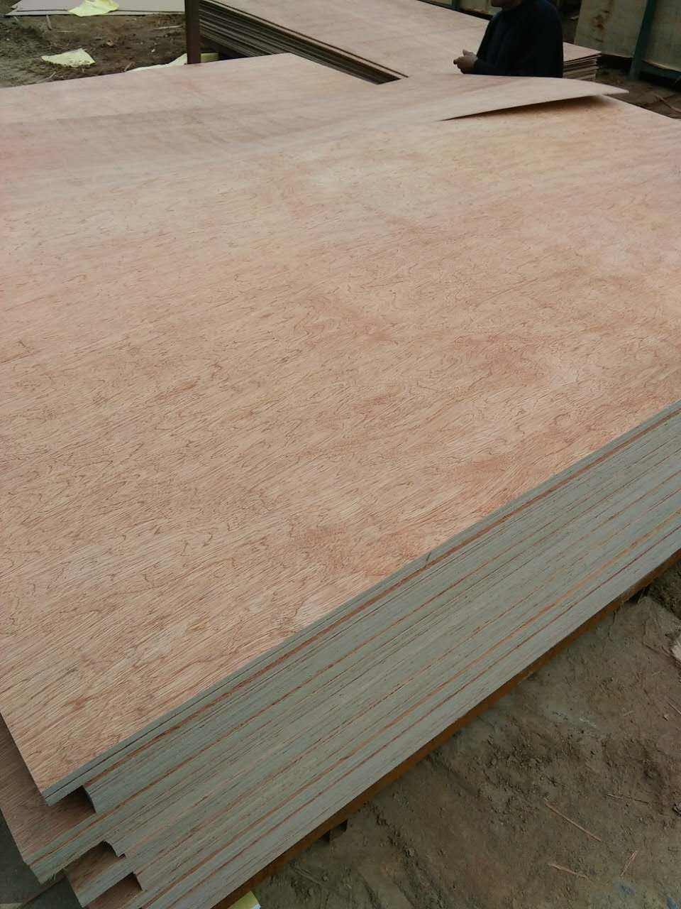 临沂泽运/泽运板材