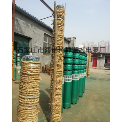 《 厂家直销》石家庄海诺泵业200QJ50-78深井潜水泵 16
