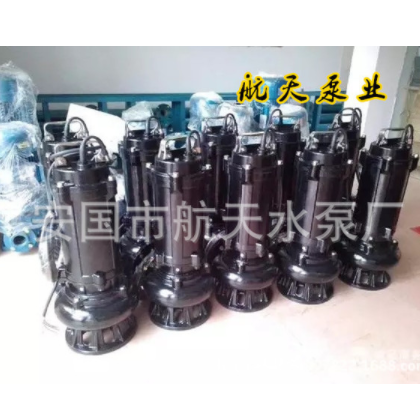 WQ型2.5寸潜水排污泵潜污泵泥浆泵淤泥泵65WQ30-13-2.2KW