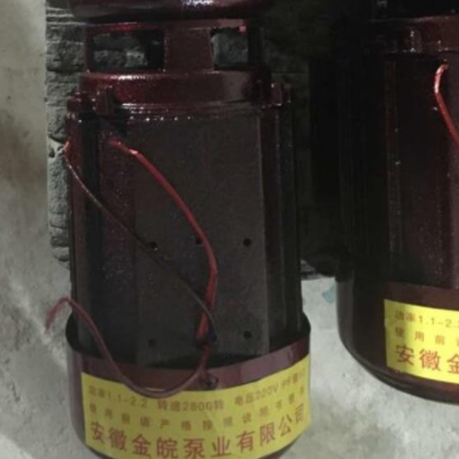 金皖泵业 防冻裂水泵