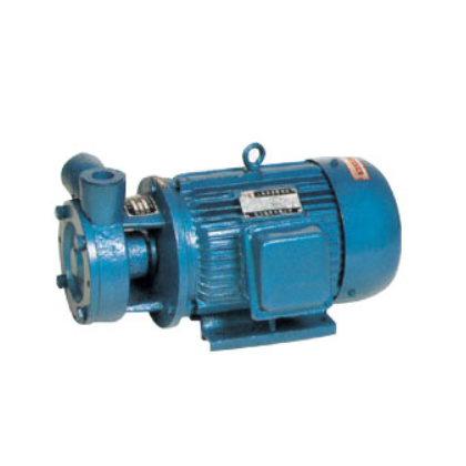 旋涡泵（W型系列）