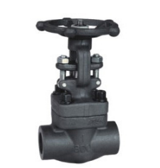 安徽阀门 Z11H-16C钢制内螺纹楔式闸阀 安徽富日阀门