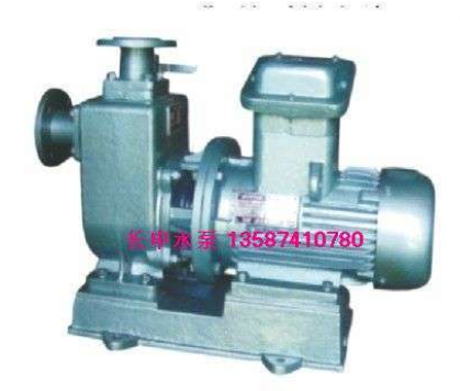 ZXL铸铁直连式自吸泵