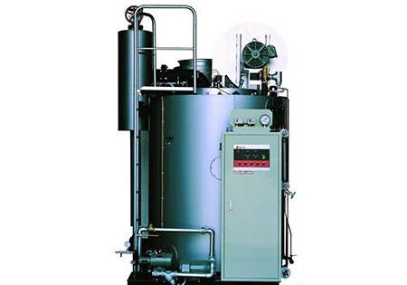 安徽燃气热水锅炉|艺能加工厂家接受定做