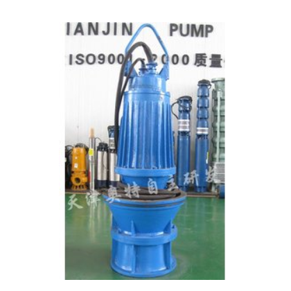 供应潜水轴流泵