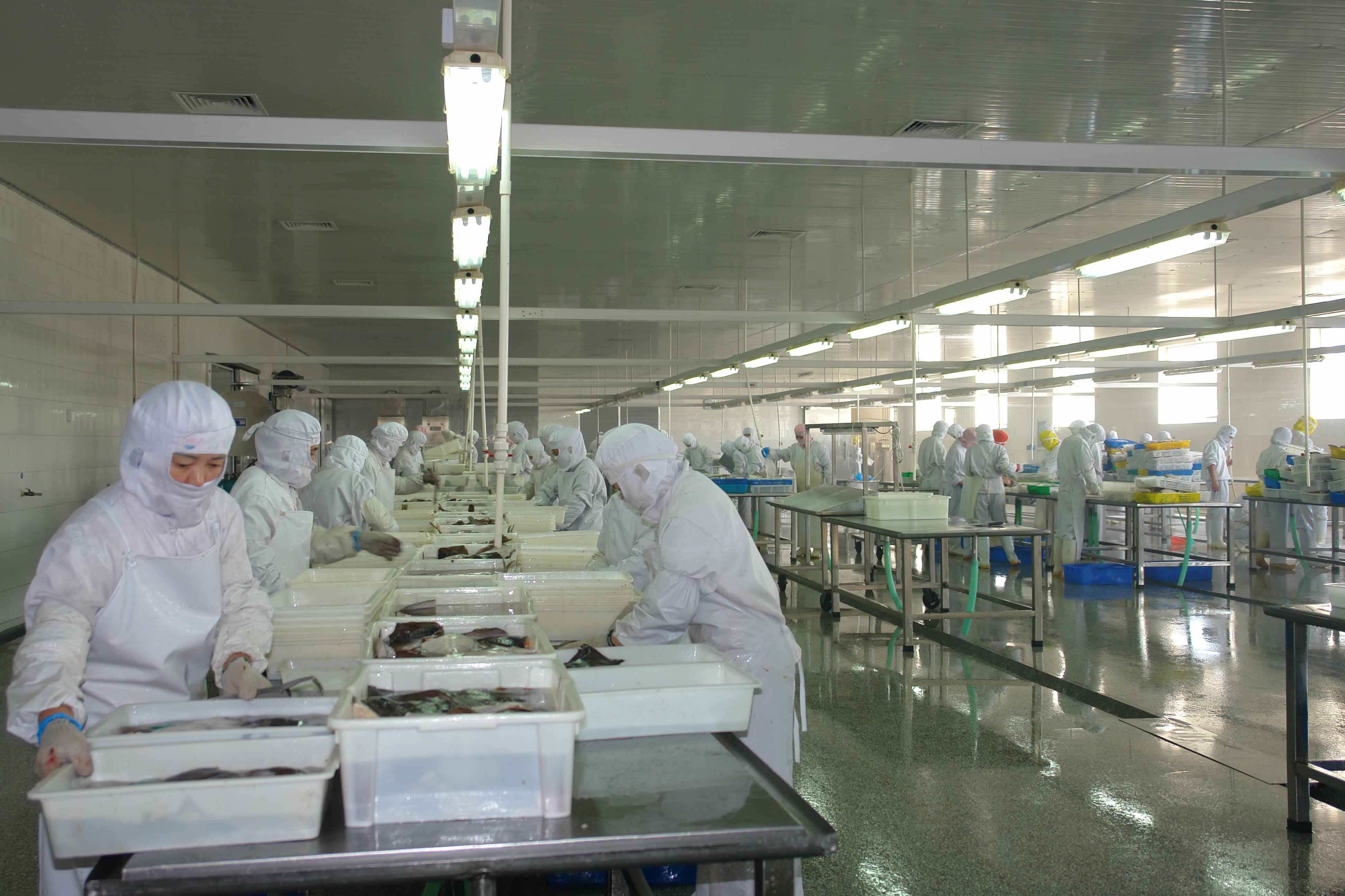 石家庄食品车间净化哪家好|河北百奥净化设备安装工程