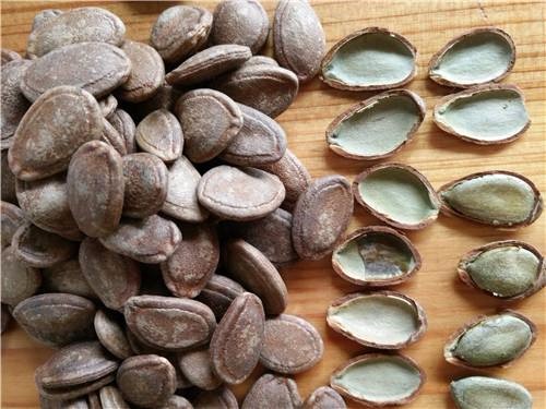 我想买瓜蒌-江苏昊林农业