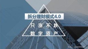 拆分模式定制开发/深圳市银之狐网络