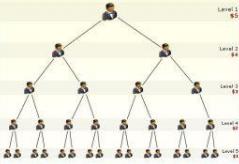 深圳市双轨模式系统/深圳市银之狐网络