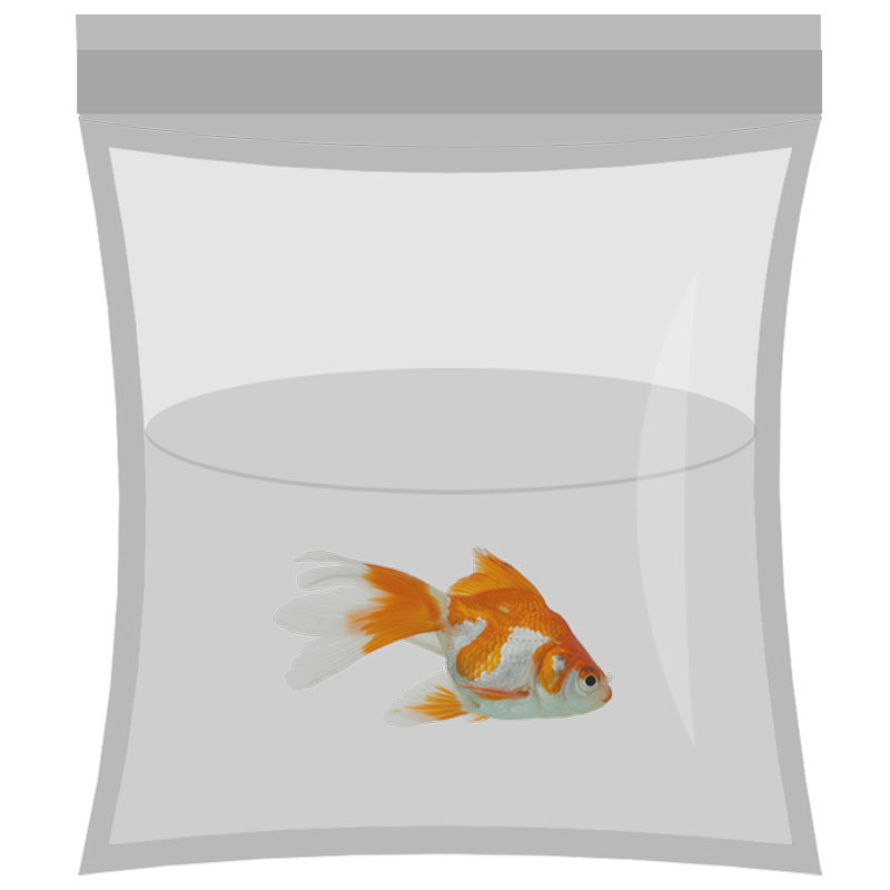 水族观赏鱼活体包装袋