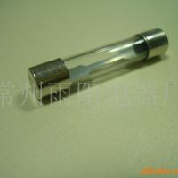 供应玻璃保险丝管．