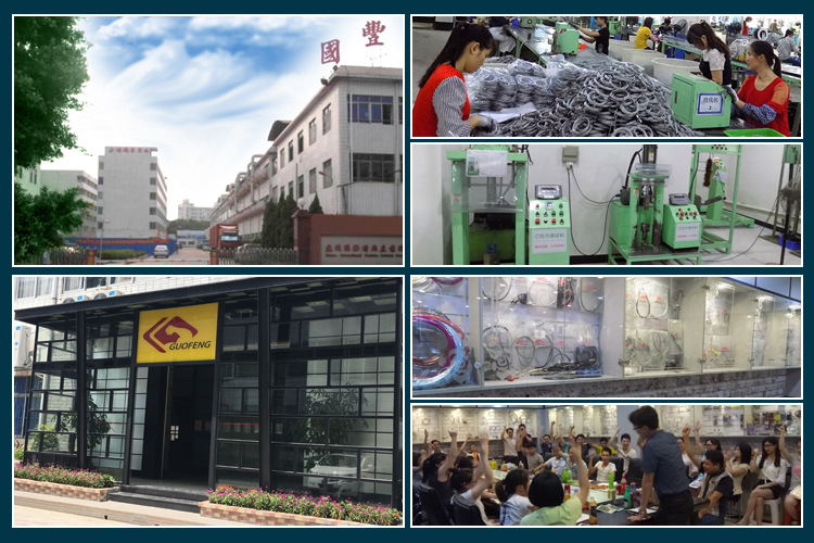 国丰制造公司实力