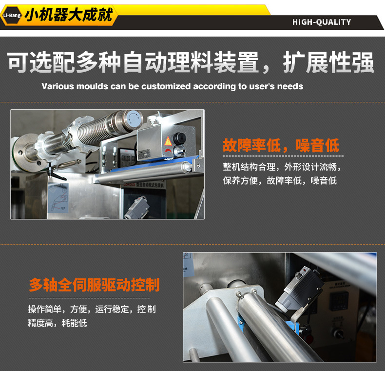 10、LB450全伺服自动包装机_04