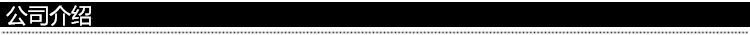 公司介绍