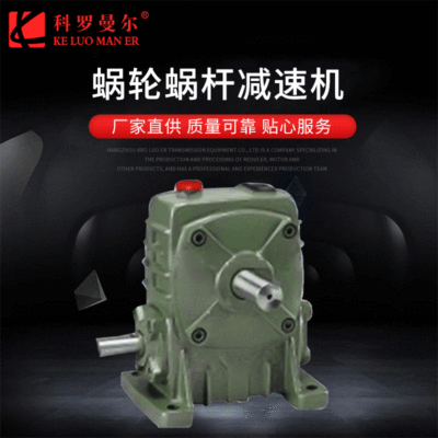 WP系列立式蜗轮蜗杆减速机40/50/60/70/80/100/120/135/155/175