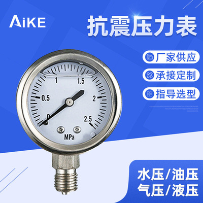 压力表不锈钢 YBN-100抗震压力仪表 2.5Mpa压力表 充油压力表
