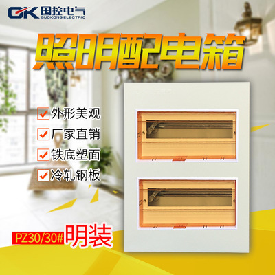 国控铁底 30回路 室内照明配电箱空气开关盒PZ30大型明暗装配电箱