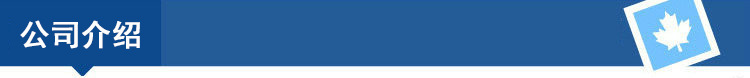 公司介绍
