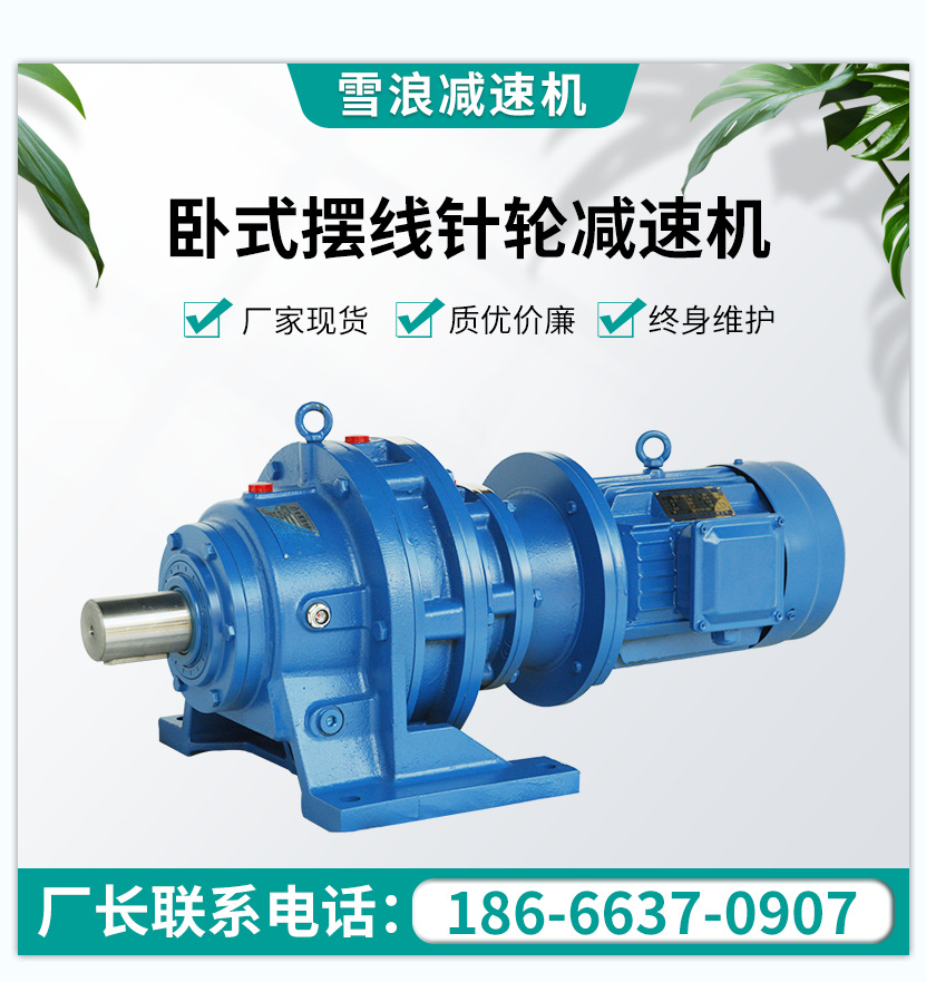 雪浪供应卧式BWD系列摆线针轮减速机 机械各种速比可定非标减速机