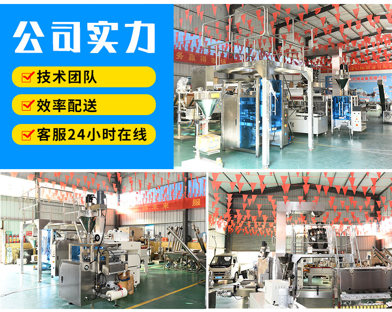 全自动颗粒包装机_17