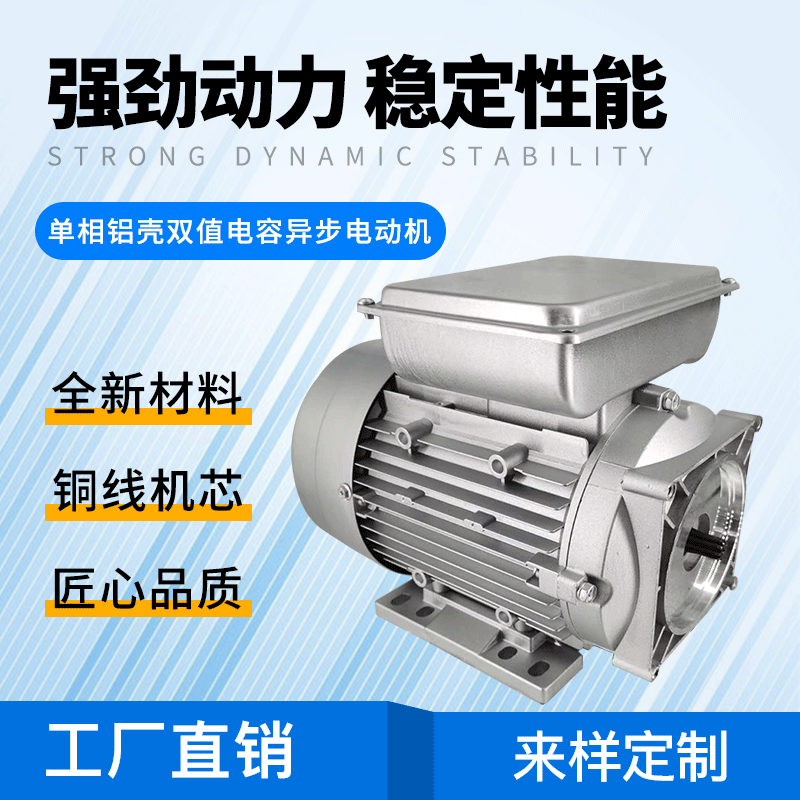 单相220V液压单元动力电动机货梯升降机传菜机折弯机举升机油压机