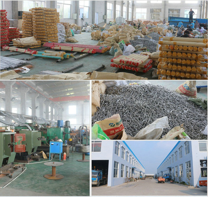 9536050095_728506741