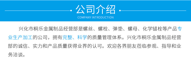 旋转式背栓内页_14