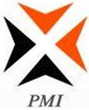 PMI图标