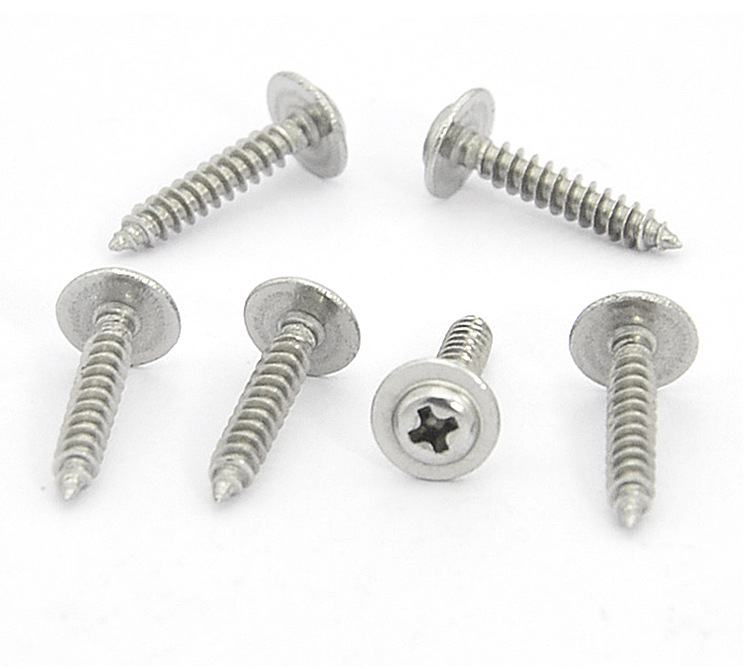 带垫自攻螺丝钉