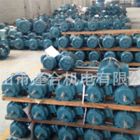 供应江门市江晟铁壳铝壳YE3，YVF电机Y160L4-15KW(JS160L4-15KW)