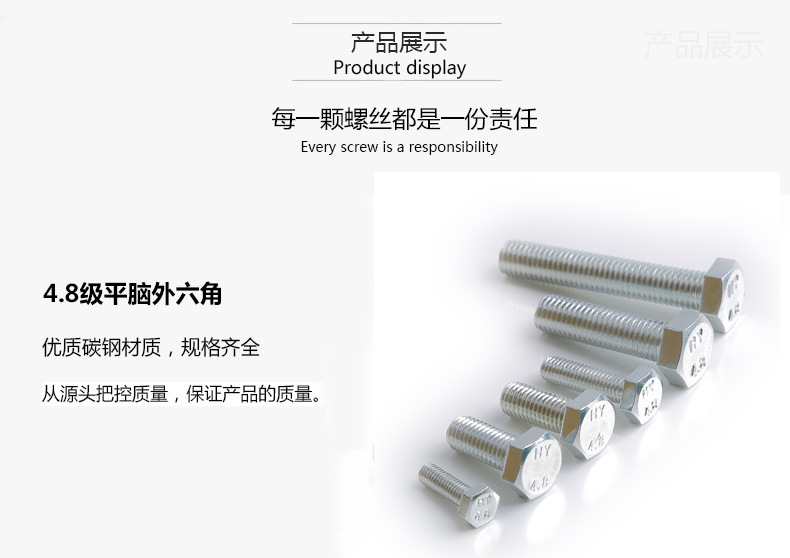 4269415641_1653349241